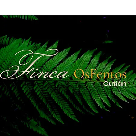 Bed & Breakfast Os Fentos Pontevedra